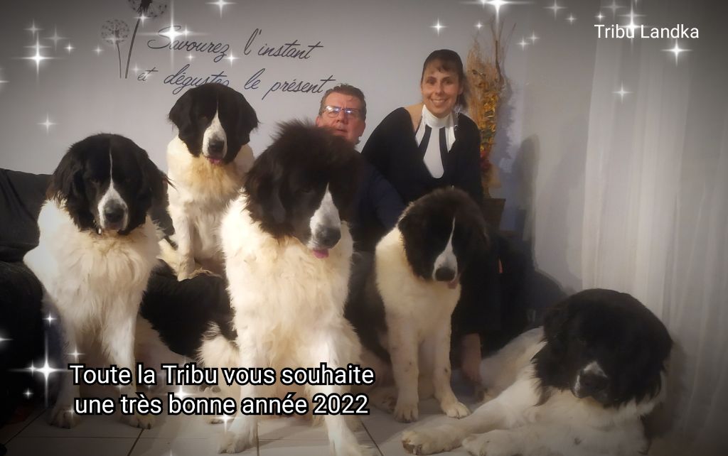 De La Tribu Landka - Bonne année 2022