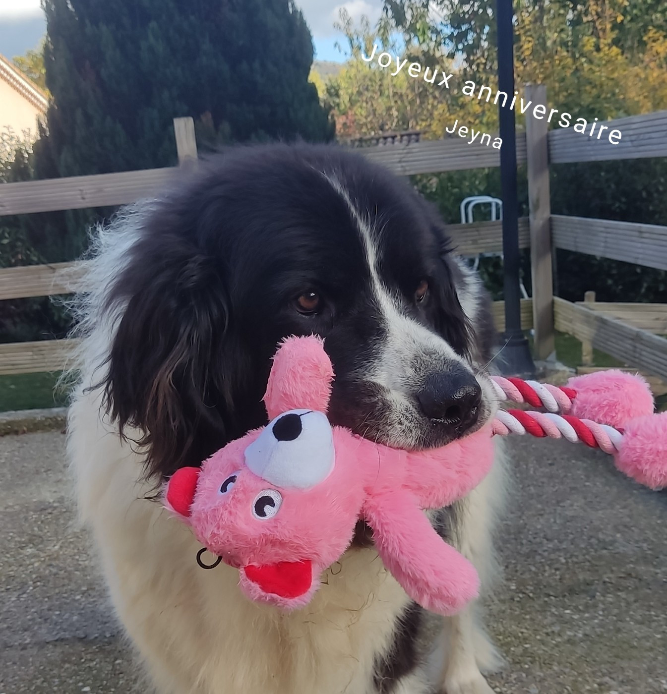 Anniversaire et retrouvailles