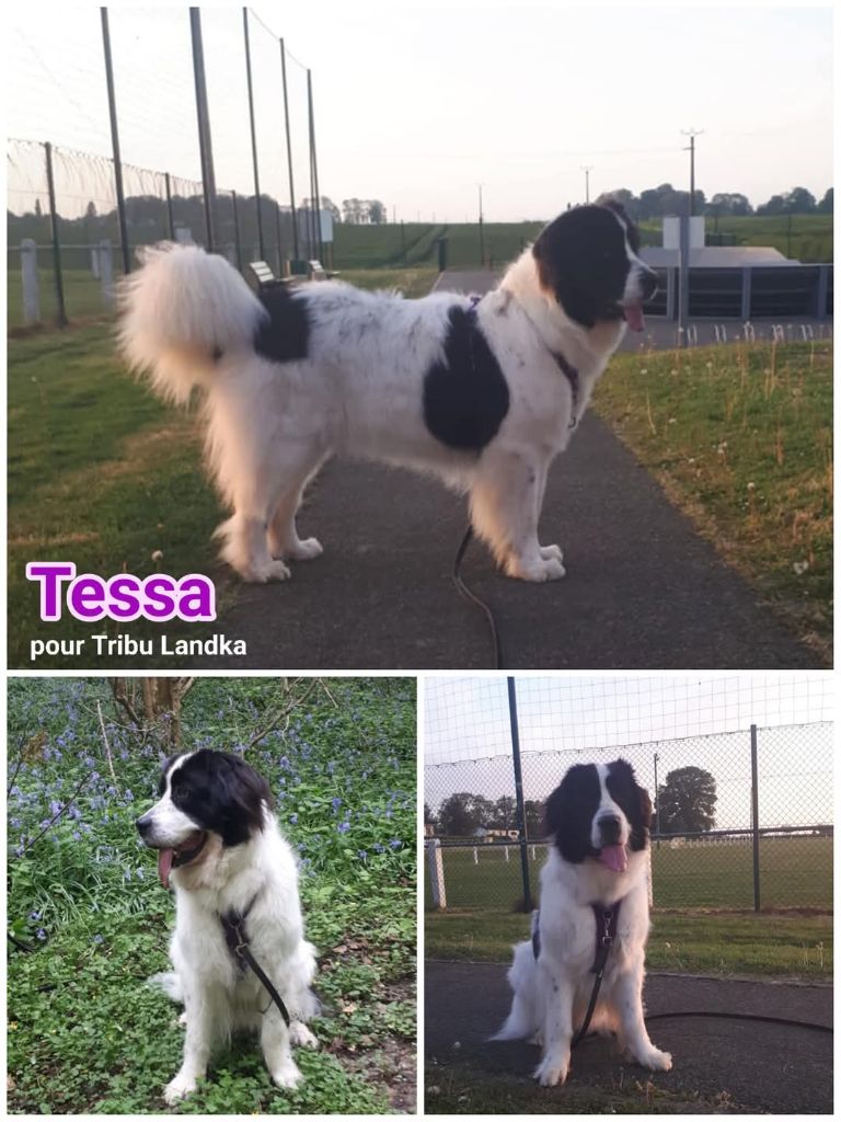 Tessa a 3 ans 